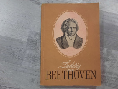 Ludwig van Beethoven de Eugen Pricope foto