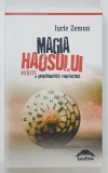 MAGIA HAOSULUI de IURIE ZEMUN , 2020