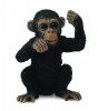 Cimpanzeu Pui - Collecta