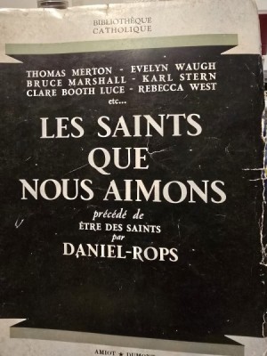 Les Saints que nous aimons - Collectif foto