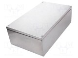 Carcasă universală RAYCHEM RPG din oțel inoxidabil 300mm x 500mm x 161mm