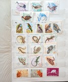 Clasor timbre romanesti 5 file/10 pagini