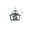 Mahle termostat, lichid racire Behr