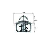 Mahle termostat, lichid racire Behr