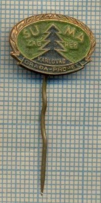 Y 373 INSIGNA -SUMA ZAGREB -KARLOVAC-GRADA PROMET-IUGOSLAVIA-PENTRU COLECTIONARI foto