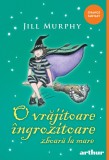 O vrăjitoare &icirc;ngrozitoare zboară la mare | paperback - Jill Murphy