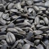 Semințe de floarea soarelui, m&acirc;ncare pentru păsări, semințe floarea soarelui negre, 20kg