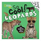 So Cool! Leopards