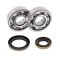 Set rulmenti ambielaj Gas Gas EC 200 03- 04 AllBalls 24-1112
