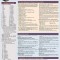 Italian Grammar: A Quickstudy Laminated Language Reference Guide