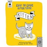 How to Look After Your Kitten