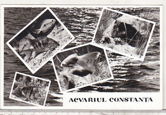 bnk cp Constanta - Acvariul - necirculata