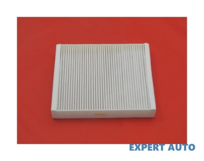 Filtru polen w Opel Insignia A (2008-&amp;gt;)[G09] #1 foto