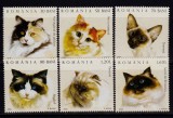 Cumpara ieftin RO 2006 ,LP 1707 ,&quot;Pisici &quot; serie de 6 valori ,MNH, Nestampilat