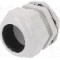 Presetupa poliamida, M50, IP68, RITTAL - 2411.661