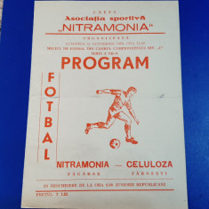 program Nitramonia Fagaras - Celuloza Zarnesti