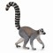 Lemur cu coada-inel - collecta