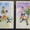 BC683, Irlanda 1994, serie sport, fotbal