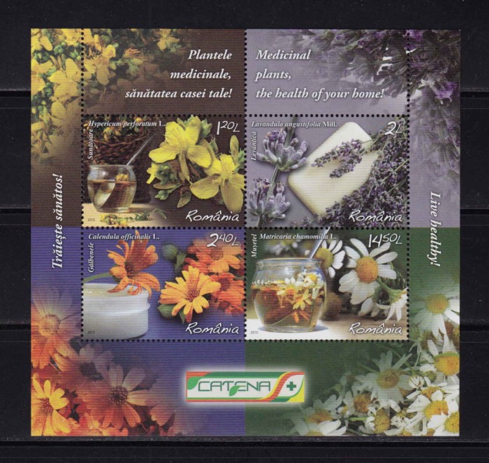 ✅ RO 2015 LP 2074a &quot;Plante medicinale &quot; ,colita 634 ,MNH