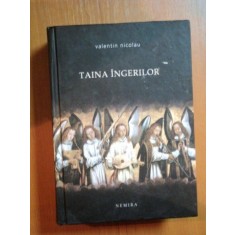 TAINA INGERILOR de VALENTIN NICOLAU
