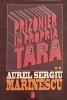Prizonier in propria tara II - Aurel Sergiu Marinescu, Editura Du Style, 1996, Istorie, 378 pagini