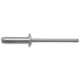 Evotools 648009 - Nituri pop cu cap bombat 4x16 mm 100 bucati