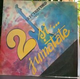 Disc vinil - Doi și jumătate .... EX+