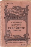 I. L. Caragiale - Notite si fragmente literare
