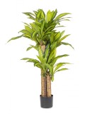 Cumpara ieftin Dracena artificiala in ghiveci 100x130 cm
