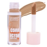 Concealer Corector Ushas #01