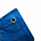 2 x 3 Metri(6m&sup2;) prelată de p&acirc;nză albastră