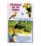 Iordache Ion, Constantin Ion si Boris Craciun - Pasarile de pe Terra