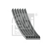 FEBI BILSTEIN 28903 Curea transmisie cu caneluri