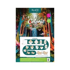 Carton multicolor BiroCO, format A4, 160 gr, 10 coli/set