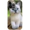 Husa compatibila cu Apple iPhone 11 Pro Max Smol cat, Silicon, TPU, Viceversa