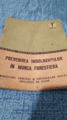 PREVENIREA IMBOLNAVIRILOR IN MUNCA FORESTIERA foto