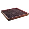 Cutie Gradina Flori Legume Polipropilena 57x13cm 8 Piese Artool GartenVIP DiyLine
