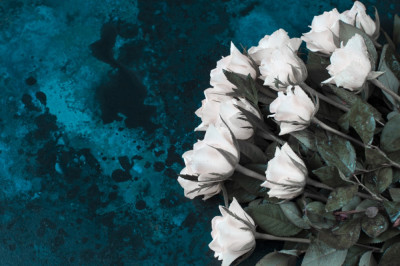 Fototapet de perete autoadeziv si lavabil Flori172 Trandafiri albi, 135 x 225 cm foto