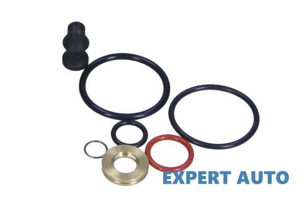Oringuri injectoare Audi A4 (2000-2004) [8E2, B6]