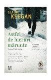 Astfel de lucruri mărunte - Hardcover - Pandora M