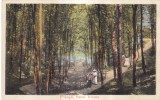 Pitesti. Parcul Trivalea (circulata 1911)