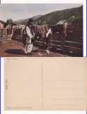 Carpati, Maramures, Bucovina- Tipuri , Hutuli- militara, WWI, WK1- Rara, Necirculata, Printata