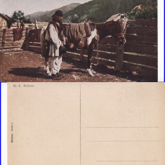 Carpati, Maramures, Bucovina- Tipuri , Hutuli- militara, WWI, WK1- Rara