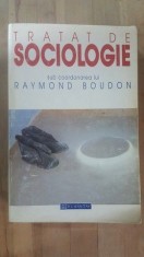 Tratat de sociologie- Raymond Boudon