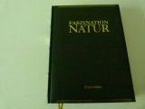 Regenwalder,album