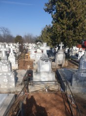 Loc de veci Viisoara