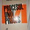 Mihai Stoian - Procesul unui proces