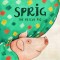 Sprig the Rescue Pig