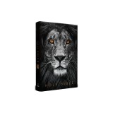 KJV Holy Bible, Large Print, Handy Size Format, Hardcover, Lion of Judah, Ribbon Marker, and Red Letter