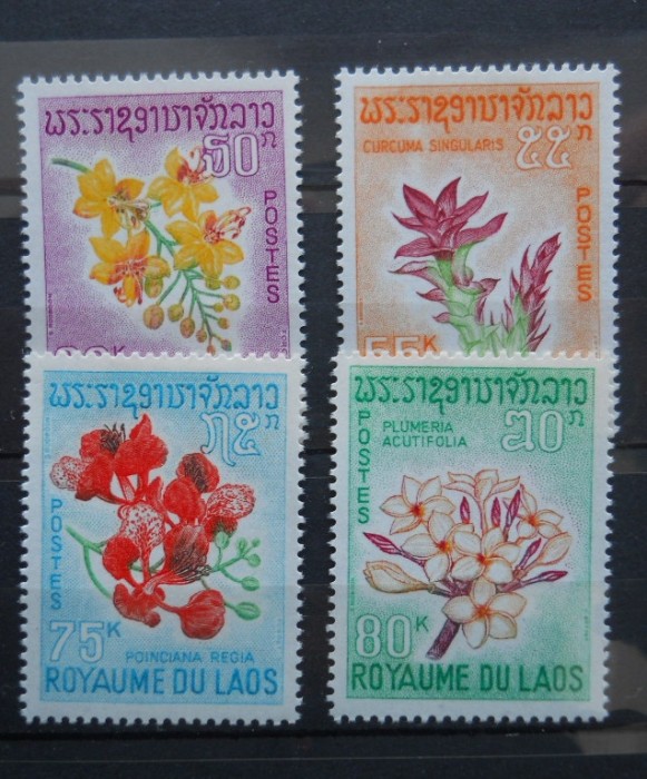 LAOS SERIE FLORI MH